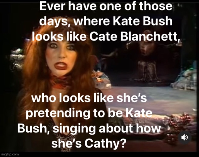 Kate Bush | image tagged in kate bush,cate blanchett,wuthering heights,cathy | made w/ Imgflip meme maker
