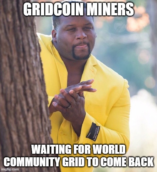 Gridcoin miners waiting | GRIDCOIN MINERS; WAITING FOR WORLD COMMUNITY GRID TO COME BACK | image tagged in black guy hiding behind tree,cryptocurrency,crypto | made w/ Imgflip meme maker