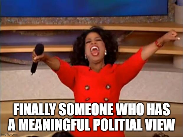 Oprah You Get A Meme | FINALLY SOMEONE WHO HAS A MEANINGFUL POLITIAL VIEW | image tagged in memes,oprah you get a | made w/ Imgflip meme maker