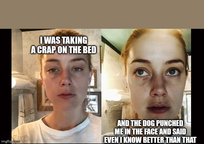 Slap on the face | I WAS TAKING A CRAP ON THE BED; AND THE DOG PUNCHED ME IN THE FACE AND SAID EVEN I KNOW BETTER THAN THAT | image tagged in memes,johnny depp,amber heard,funny memes | made w/ Imgflip meme maker