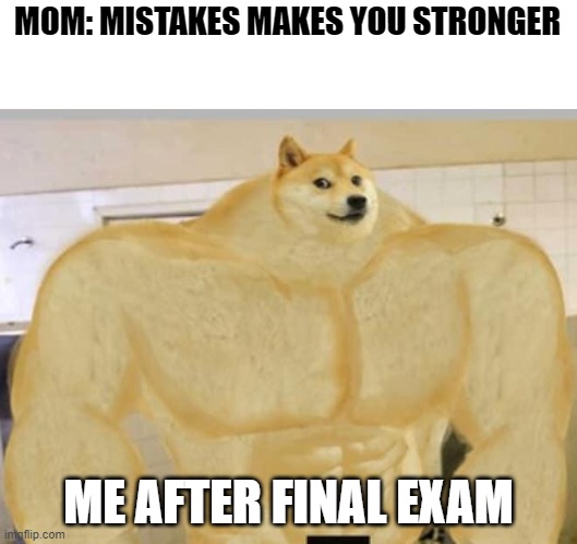 We just have to hope expectations becomes reality | MOM: MISTAKES MAKES YOU STRONGER; ME AFTER FINAL EXAM | image tagged in buff doge | made w/ Imgflip meme maker