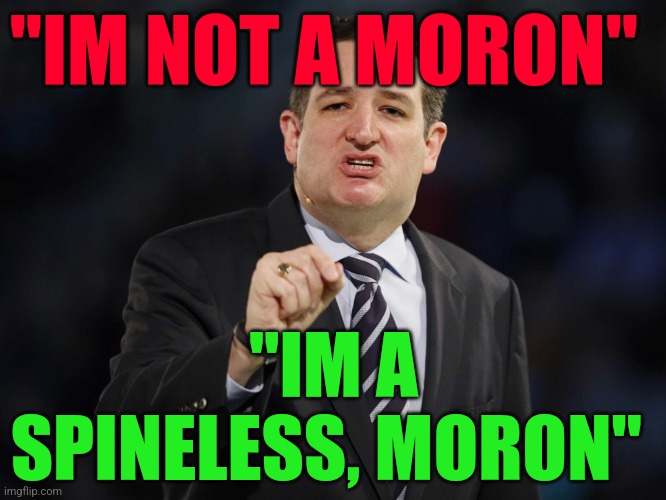 Ted Cruz | "IM NOT A MORON"; "IM A SPINELESS, MORON" | image tagged in ted cruz | made w/ Imgflip meme maker