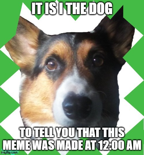 late night memer | IT IS I THE DOG; TO TELL YOU THAT THIS MEME WAS MADE AT 12:00 AM | image tagged in yes sir | made w/ Imgflip meme maker
