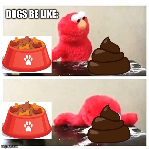 dogs | DOGS BE LIKE: | image tagged in elmo cocaine,memes | made w/ Imgflip meme maker