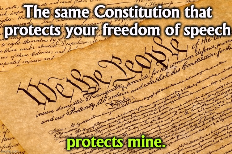 US Constitution | The same Constitution that protects your freedom of speech; protects mine. | image tagged in us constitution,freedom of speech | made w/ Imgflip meme maker