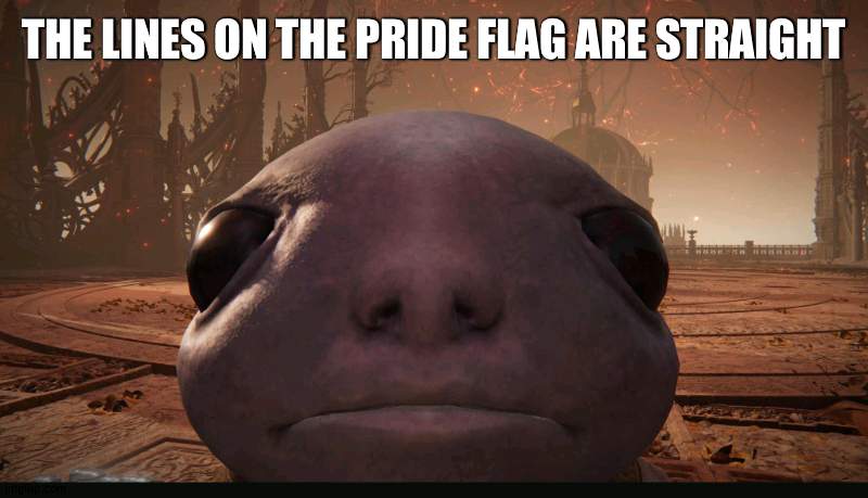 title | THE LINES ON THE PRIDE FLAG ARE STRAIGHT | image tagged in staring albinauric | made w/ Imgflip meme maker