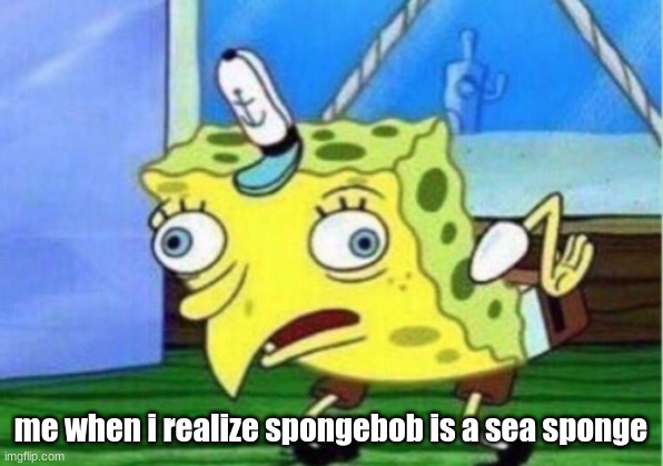 ha | me when i realize spongebob is a sea sponge | image tagged in memes,mocking spongebob | made w/ Imgflip meme maker