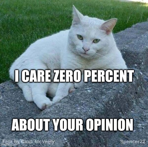 I CARE ZERO PERCENT ABOUT YOUR OPINION | image tagged in feta | made w/ Imgflip meme maker