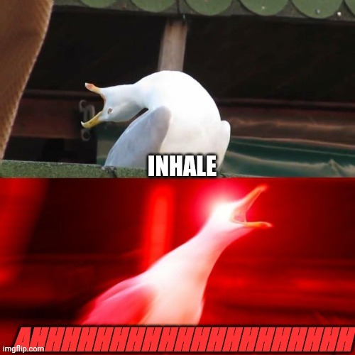 inhale. AHHHHHHHHHHHH | image tagged in fun | made w/ Imgflip meme maker