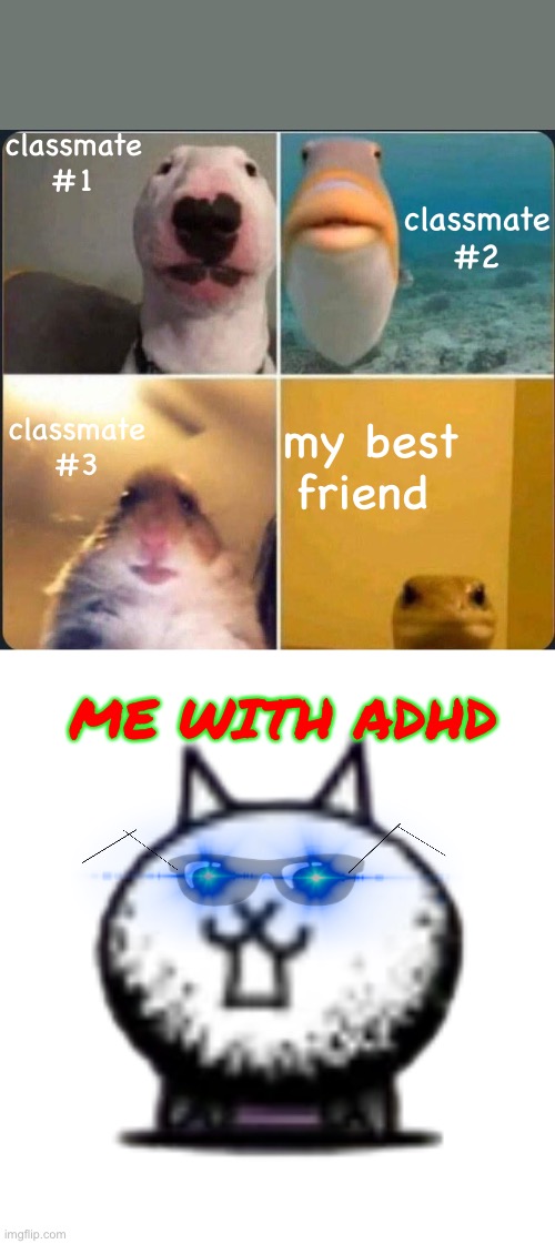 its hard to be quiet and be still, trust me if you have adhd. | classmate #1; classmate #2; classmate #3; my best friend; ME WITH ADHD | image tagged in first online class,crazed cat,online school | made w/ Imgflip meme maker