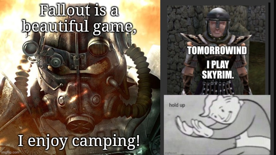 Survival Evolved | Fallout is a beautiful game, I enjoy camping! | image tagged in brotherhood of steel | made w/ Imgflip meme maker