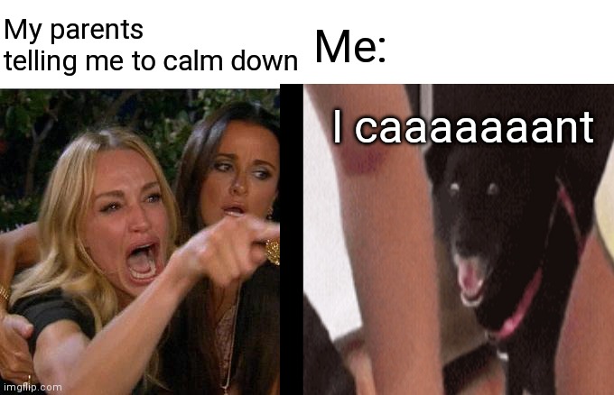 The dog tho | My parents telling me to calm down; Me:; I caaaaaaant | image tagged in dog,suprised | made w/ Imgflip meme maker