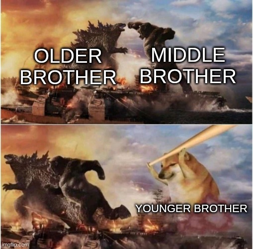 If you only agreed with your older bro for one thing, it'd be that your younger brother's a shit. | MIDDLE BROTHER; OLDER BROTHER; YOUNGER BROTHER | image tagged in kong godzilla doge | made w/ Imgflip meme maker