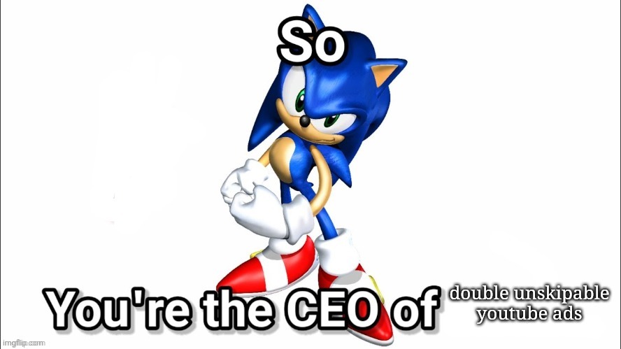 so you're the CEO of | double unskipable youtube ads | image tagged in so you're the ceo of | made w/ Imgflip meme maker