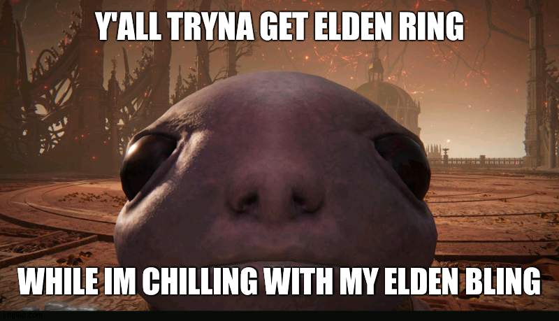 drip. | Y'ALL TRYNA GET ELDEN RING; WHILE IM CHILLING WITH MY ELDEN BLING | image tagged in staring albinauric | made w/ Imgflip meme maker