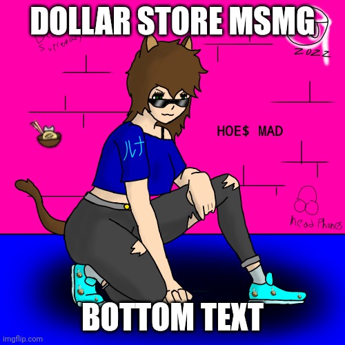 Image Title | DOLLAR STORE MSMG; BOTTOM TEXT | image tagged in luna hoes mad | made w/ Imgflip meme maker