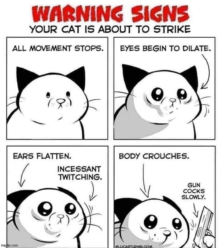 image tagged in comics/cartoons | made w/ Imgflip meme maker