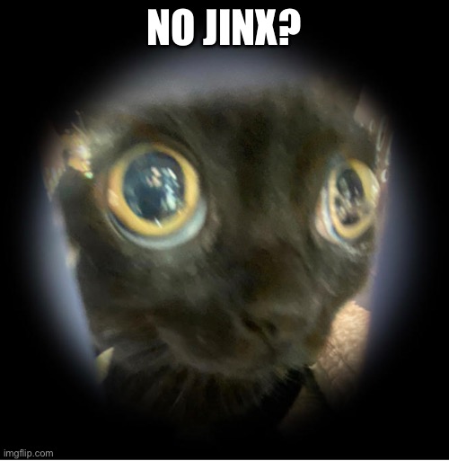 NO JINX? | image tagged in no bitches,jinx | made w/ Imgflip meme maker