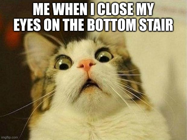 Scared Cat Meme | ME WHEN I CLOSE MY EYES ON THE BOTTOM STAIR | image tagged in memes,scared cat | made w/ Imgflip meme maker