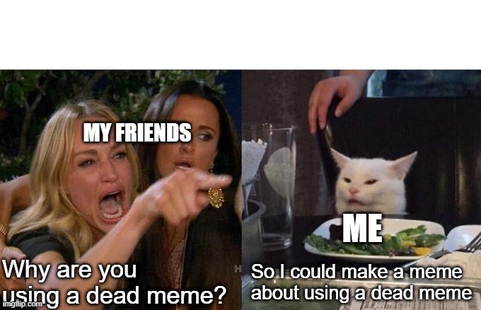 Dead meme | MY FRIENDS; ME; Why are you using a dead meme? So I could make a meme about using a dead meme | image tagged in memes,woman yelling at cat | made w/ Imgflip meme maker