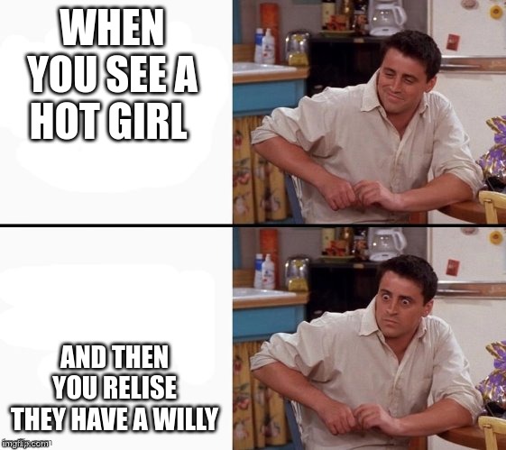 joey | WHEN YOU SEE A HOT GIRL; AND THEN YOU RELISE THEY HAVE A WILLY | image tagged in comprehending joey | made w/ Imgflip meme maker