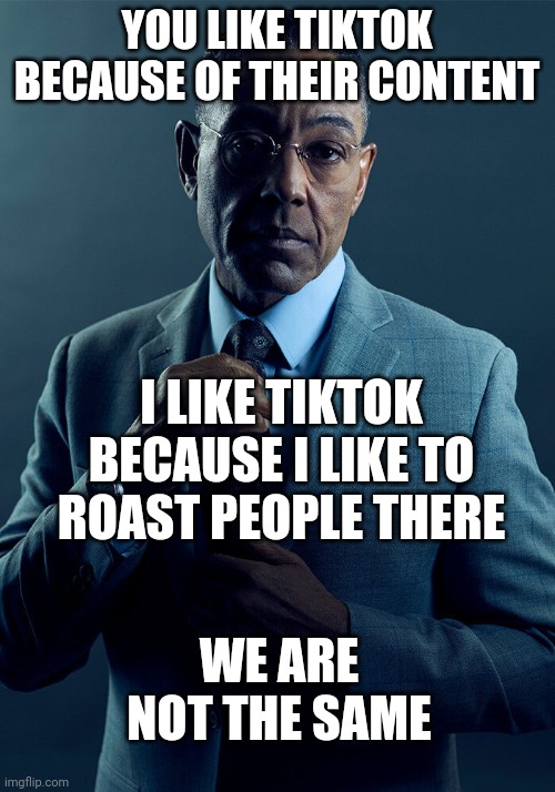 Gus Fring we are not the same | YOU LIKE TIKTOK BECAUSE OF THEIR CONTENT I LIKE TIKTOK BECAUSE I LIKE TO ROAST PEOPLE THERE WE ARE NOT THE SAME | image tagged in gus fring we are not the same | made w/ Imgflip meme maker