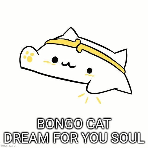 BONGO CAT DREAM FOR YOU SOUL | made w/ Imgflip meme maker