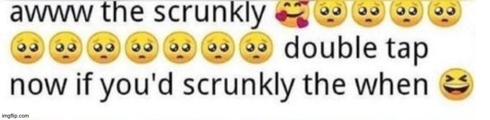 aww the scrunkly | image tagged in aww the scrunkly | made w/ Imgflip meme maker