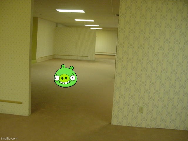 The Backrooms | image tagged in the backrooms | made w/ Imgflip meme maker