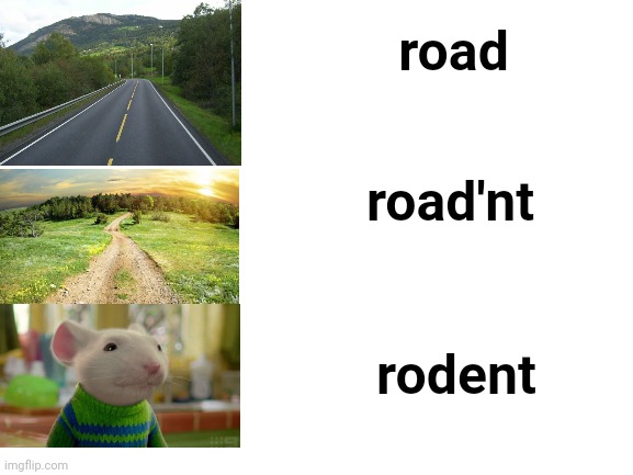 mous | road; road'nt; rodent | image tagged in blank white template | made w/ Imgflip meme maker