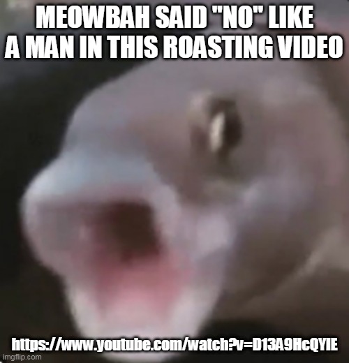 Poggers Fish | MEOWBAH SAID "NO" LIKE A MAN IN THIS ROASTING VIDEO; https://www.youtube.com/watch?v=D13A9HcQYIE | image tagged in poggers fish | made w/ Imgflip meme maker