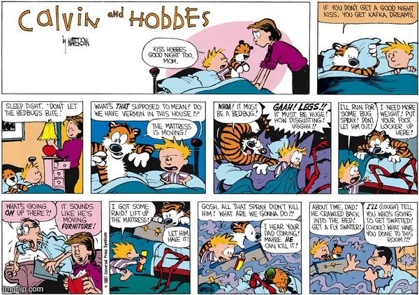 image tagged in calvin and hobbes,bugs,bedtime | made w/ Imgflip meme maker