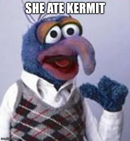 gonzo | SHE ATE KERMIT | image tagged in gonzo | made w/ Imgflip meme maker