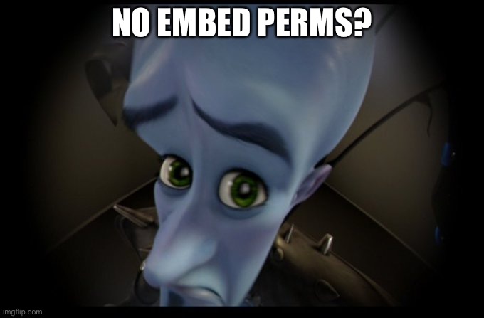 no embed perms? | NO EMBED PERMS? | image tagged in megamind no bitches | made w/ Imgflip meme maker