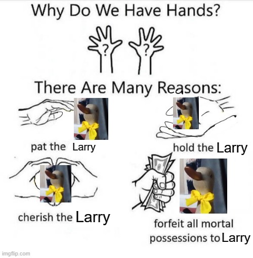 Why Do We Have Hands - Imgflip