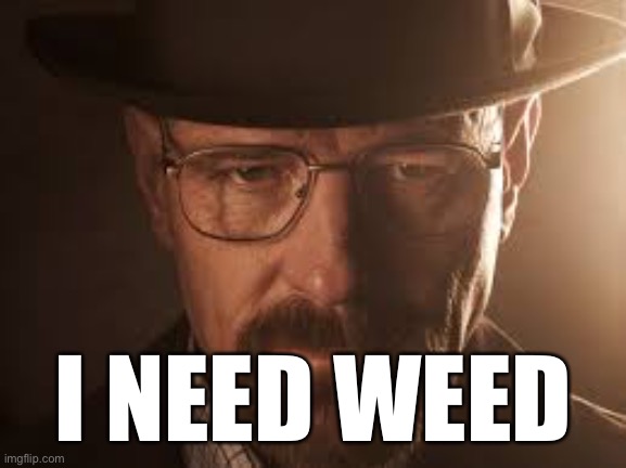 weedenberg | I NEED WEED | image tagged in breaking bad,weed,smoke weed everyday | made w/ Imgflip meme maker