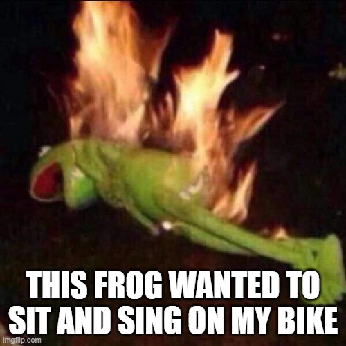 Sit and sing on my bike |  THIS FROG WANTED TO SIT AND SING ON MY BIKE | image tagged in kermit the frog,my bike,no touch bike | made w/ Imgflip meme maker