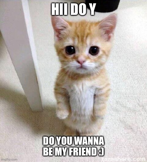 cute cat |  HII DO Y; DO YOU WANNA BE MY FRIEND :) | image tagged in memes,cute cat | made w/ Imgflip meme maker