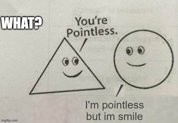 You're Pointless Blank | WHAT? I'm pointless but im smile | image tagged in you're pointless blank | made w/ Imgflip meme maker