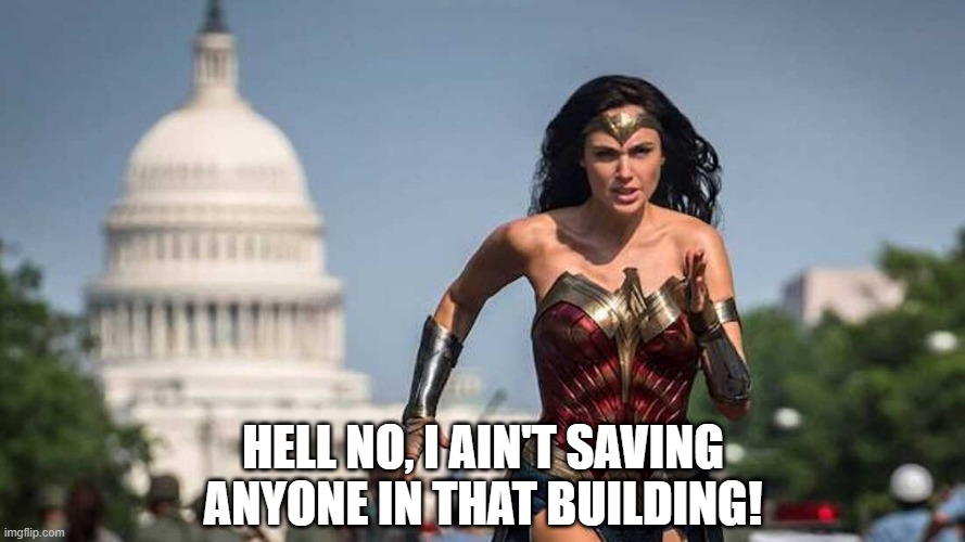 At Least Use the Lasso on Them! | HELL NO, I AIN'T SAVING ANYONE IN THAT BUILDING! | image tagged in wonder woman | made w/ Imgflip meme maker