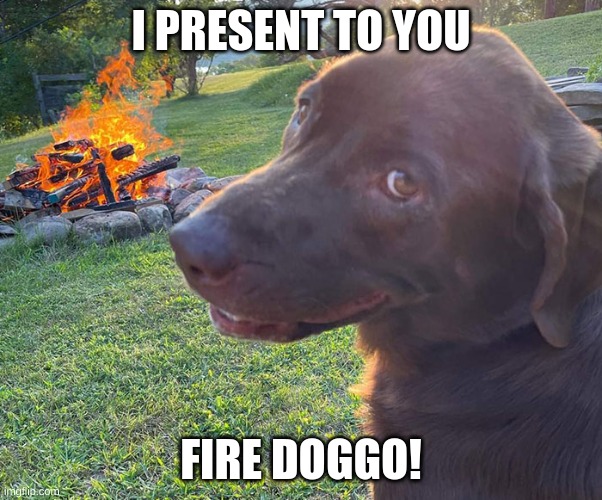 Fire dog | I PRESENT TO YOU; FIRE DOGGO! | image tagged in fire doggo | made w/ Imgflip meme maker
