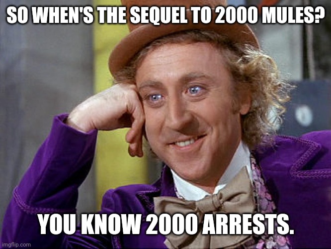 Was just wondering. | SO WHEN'S THE SEQUEL TO 2000 MULES? YOU KNOW 2000 ARRESTS. | image tagged in memes | made w/ Imgflip meme maker