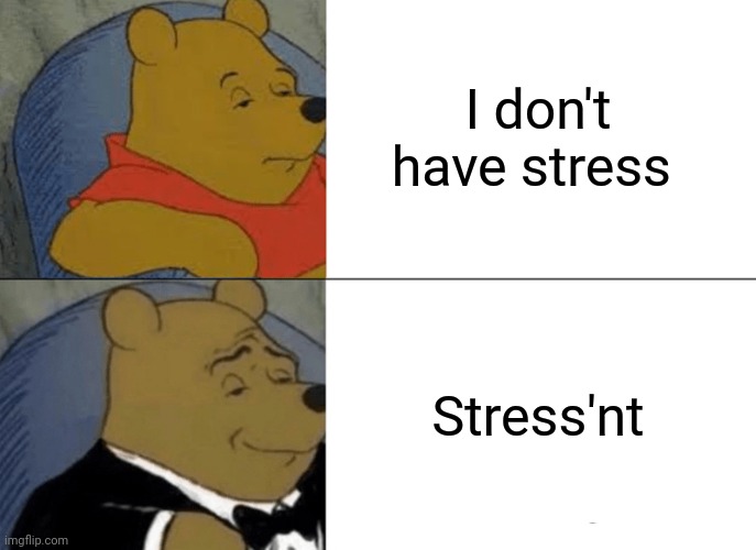 Tuxedo Winnie The Pooh | I don't have stress; Stress'nt | image tagged in memes,tuxedo winnie the pooh | made w/ Imgflip meme maker