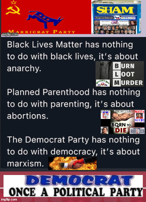 The ACTUAL Democrat Pity Party | image tagged in actual democrat,pity party,evil,liberalism,biden | made w/ Imgflip meme maker