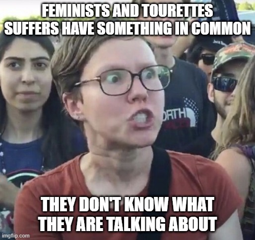 @^$#^#$ | FEMINISTS AND TOURETTES SUFFERS HAVE SOMETHING IN COMMON; THEY DON'T KNOW WHAT THEY ARE TALKING ABOUT | image tagged in triggered feminist | made w/ Imgflip meme maker