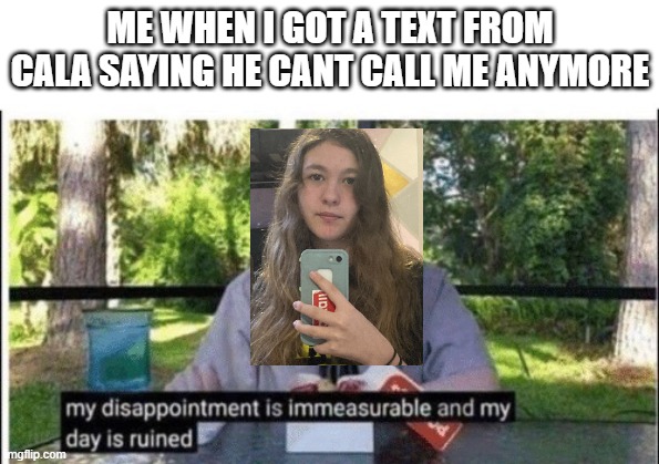 His parents think that my parents will think he's a pedo because of the 3 yr age gap. HE'S MY BEST FRIEND. | ME WHEN I GOT A TEXT FROM CALA SAYING HE CANT CALL ME ANYMORE | image tagged in my dissapointment is immeasurable and my day is ruined | made w/ Imgflip meme maker