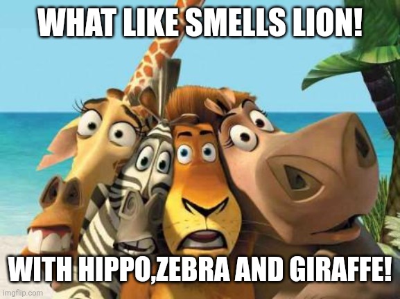 madagascar | WHAT LIKE SMELLS LION! WITH HIPPO,ZEBRA AND GIRAFFE! | image tagged in madagascar | made w/ Imgflip meme maker