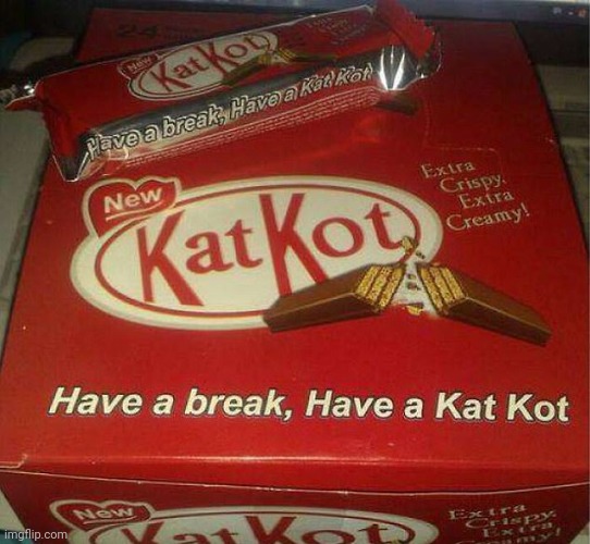 I bet it has cardboard for wafers lol | image tagged in kitkat,ripoff | made w/ Imgflip meme maker