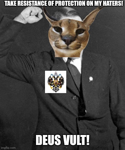 Angry Hitler | TAKE RESISTANCE OF PROTECTION ON MY HATERS! DEUS VULT! | image tagged in angry hitler | made w/ Imgflip meme maker