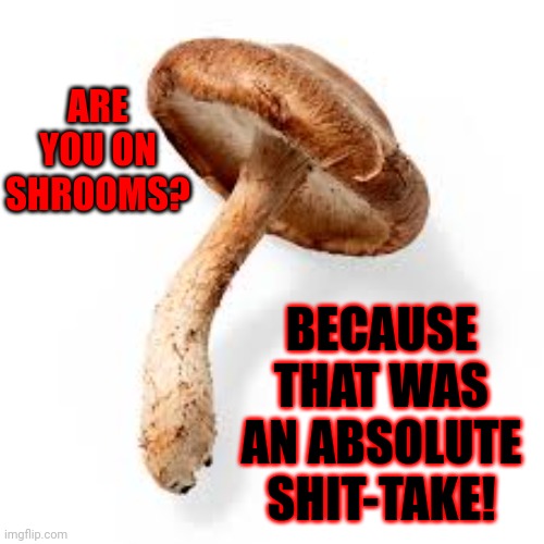 Yes, I know how to spell it. Check the tags. |  ARE YOU ON SHROOMS? BECAUSE THAT WAS AN ABSOLUTE SHIT-TAKE! | image tagged in shiitake mushroom,memes,shrooms,shit-take,too damn high,made you look | made w/ Imgflip meme maker
